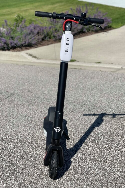 Bird Fleet Manager Michael Mulligan says the scooters are for more than fun. He’s seen people use them to commute to work.